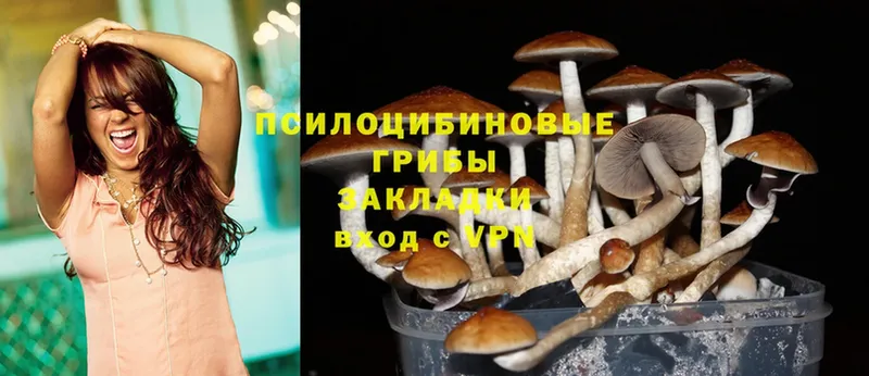 Псилоцибиновые грибы MAGIC MUSHROOMS  MEGA как войти  Грязи  как найти наркотики 