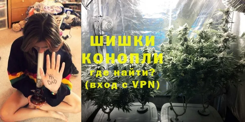 Бошки марихуана White Widow  где купить   Грязи 